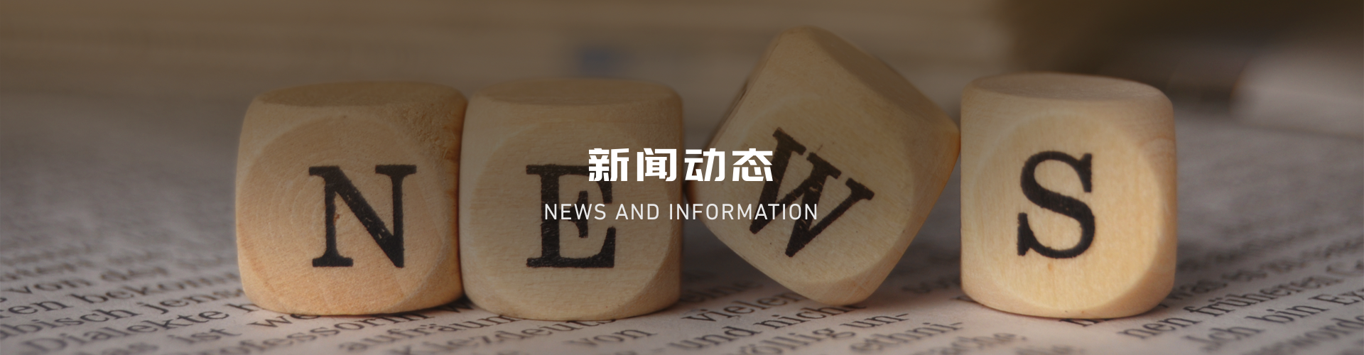 新闻动态